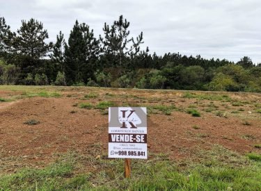 IMG_20250905_141112~2