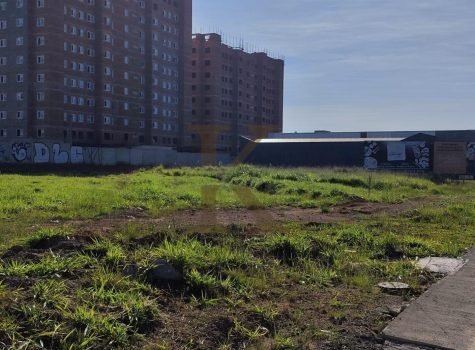 WhatsApp Image 2025-04-23 at 10.17.07 (2)