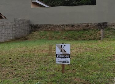 WhatsApp Image 2025-04-25 at 11.23.59